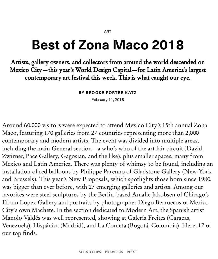 Best of Zona Maco, Sureface Magazine, US